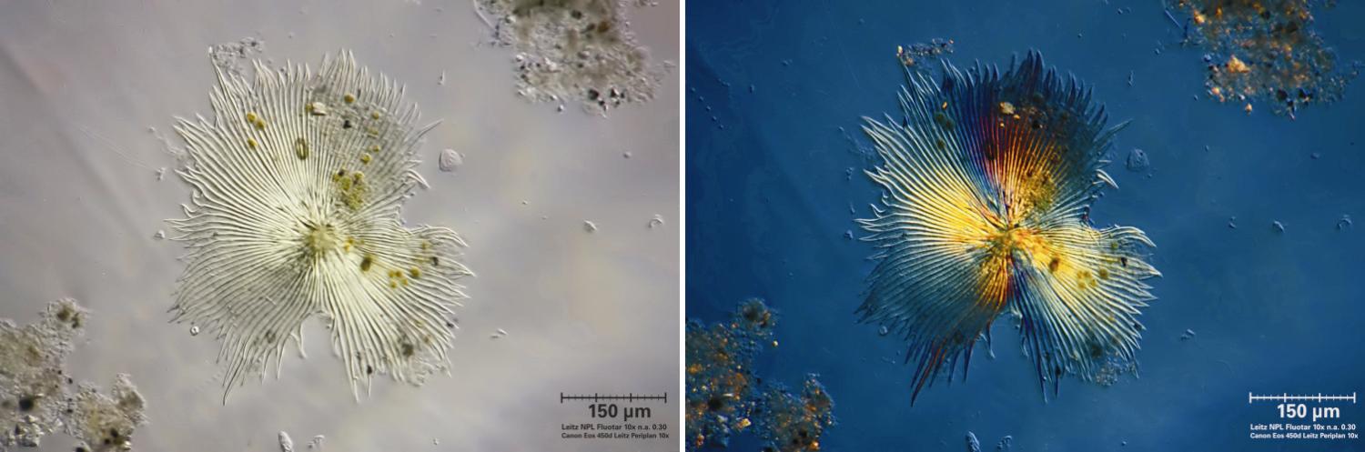 Obbiettivi russi con Marchio sconosciuto